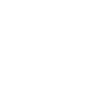 Università degli Studi di Pisa logo